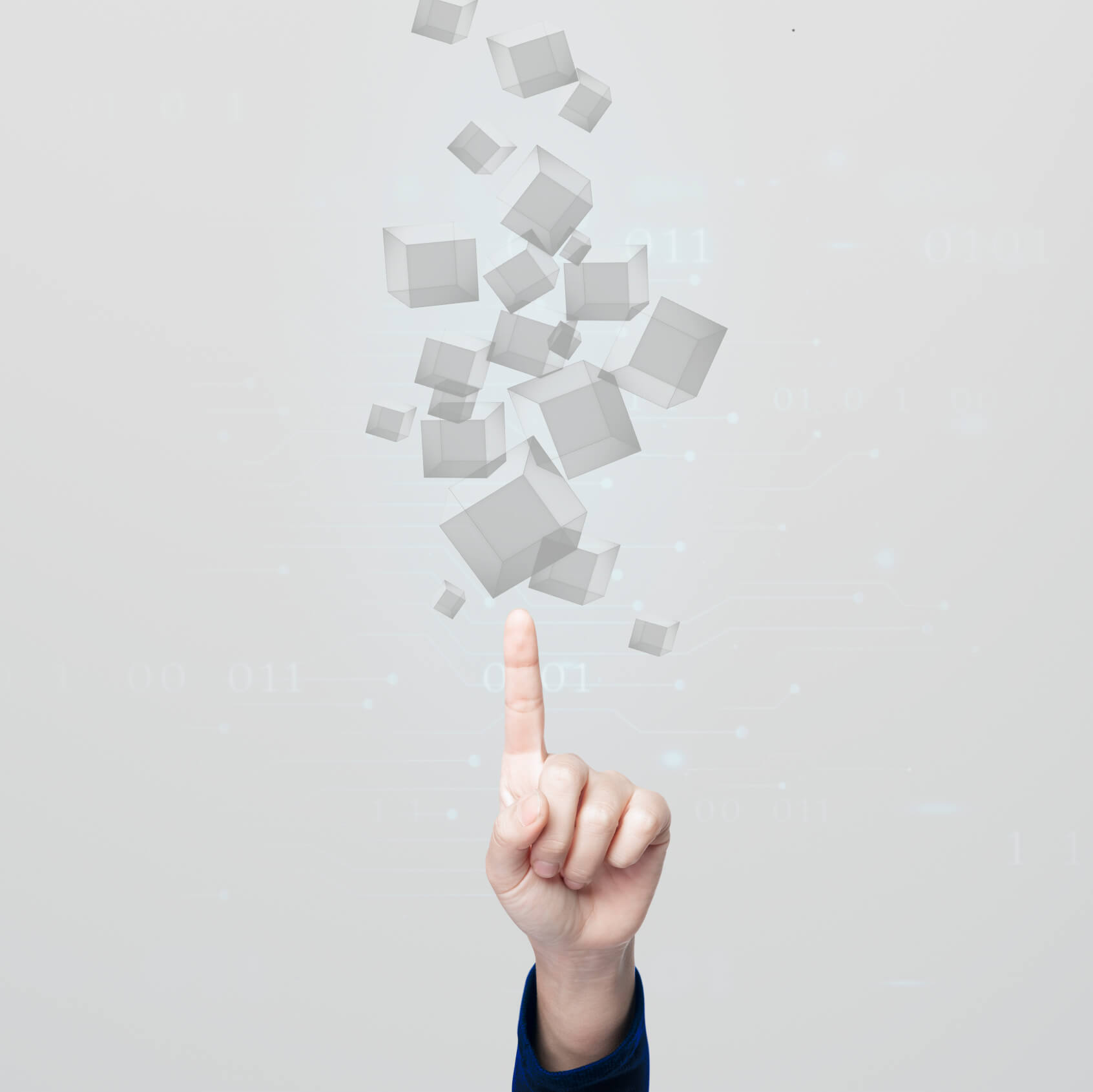 Applications of Business Digital Transformation
